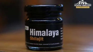 The Origins and Purity of Himalayan Shilajit: Why It Is Considered the Best